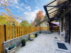 Apartment Carol private Yard with barbeque and parking Sinaia